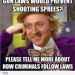 gun-control-logic