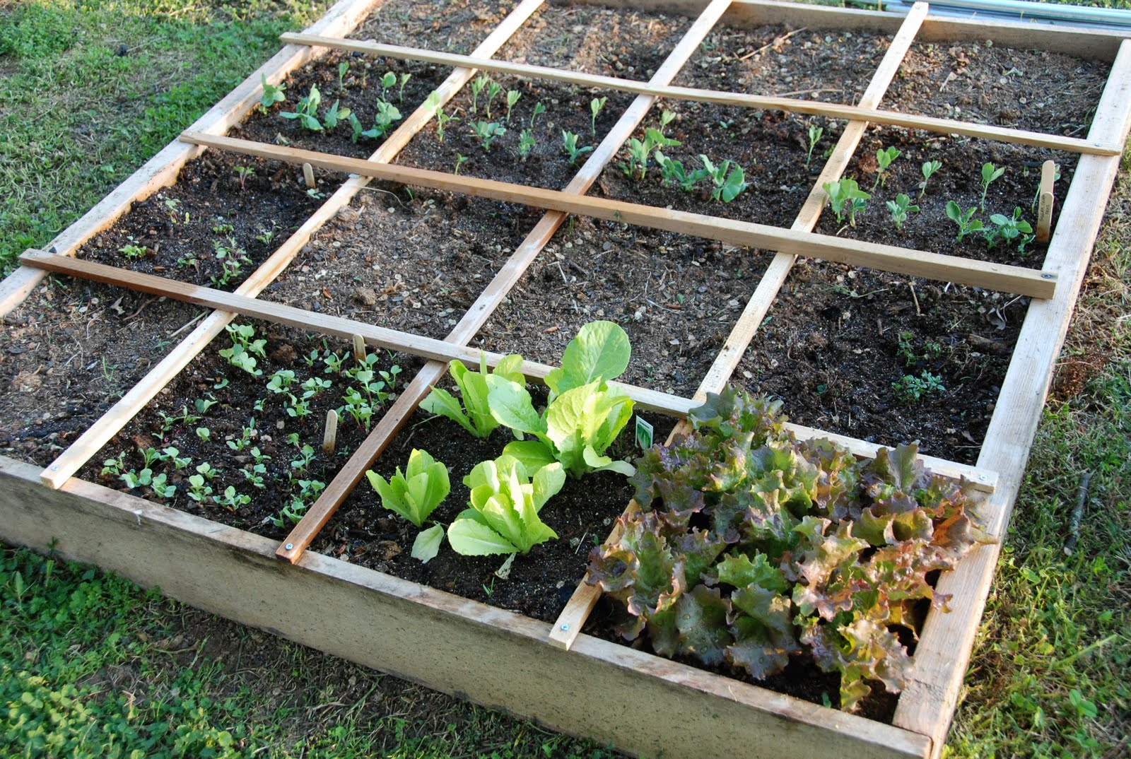 Square Foot Gardening – Prepper-Resources.com – The Ultimate Prepper