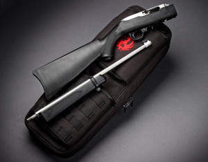 Ruger 10-22 Takedown