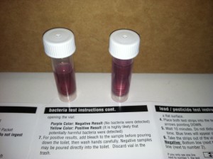 Bacteria Test: Before (left) and After (right). Both negative.