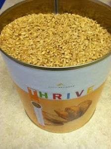 Thrive Winter Wheat