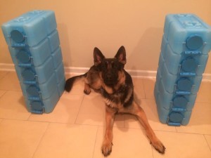 Water Brick GSD