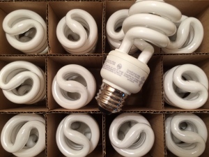 Ecosmart CFL Bulbs