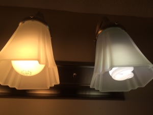 Ecosmart CFL vs Incandescent