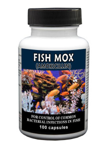 Fish Antibiotics Mox