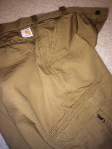 Carhartt Force Pants